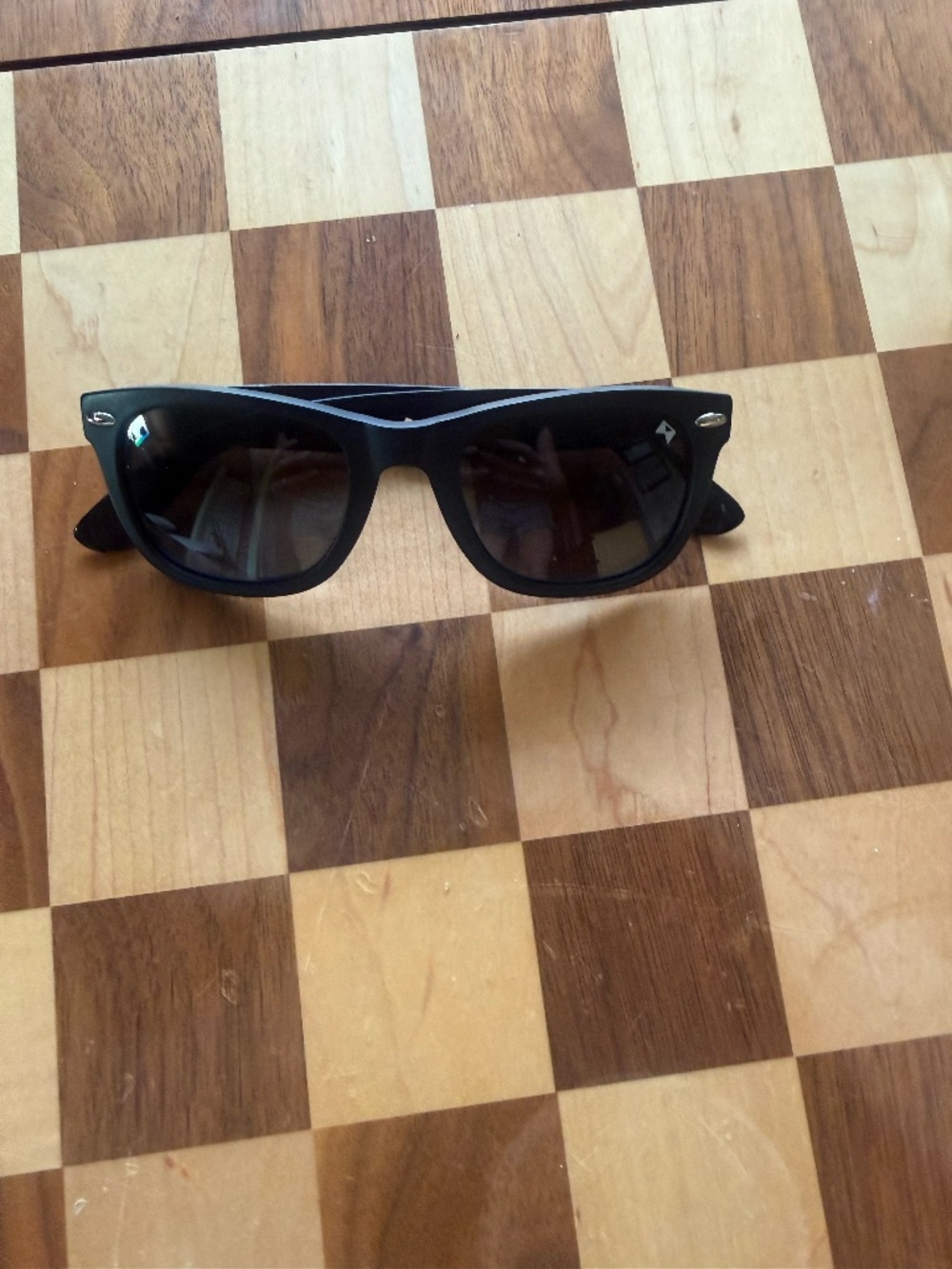 William Painter Titanium Glasses